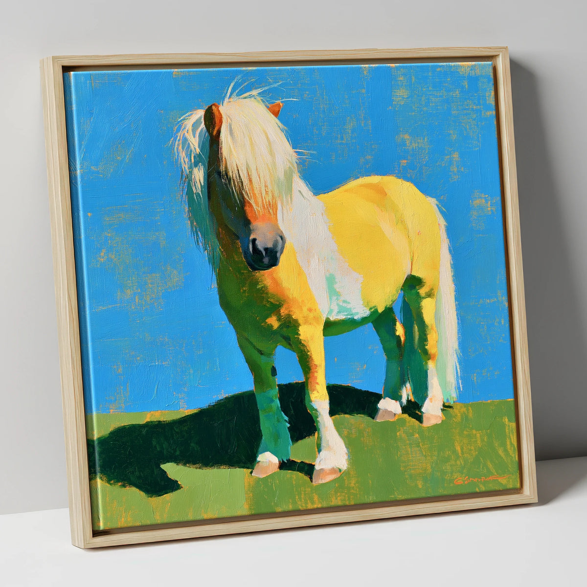 Sunlit Shetland Pony Portrait horse breed canvas wall art in natural frame