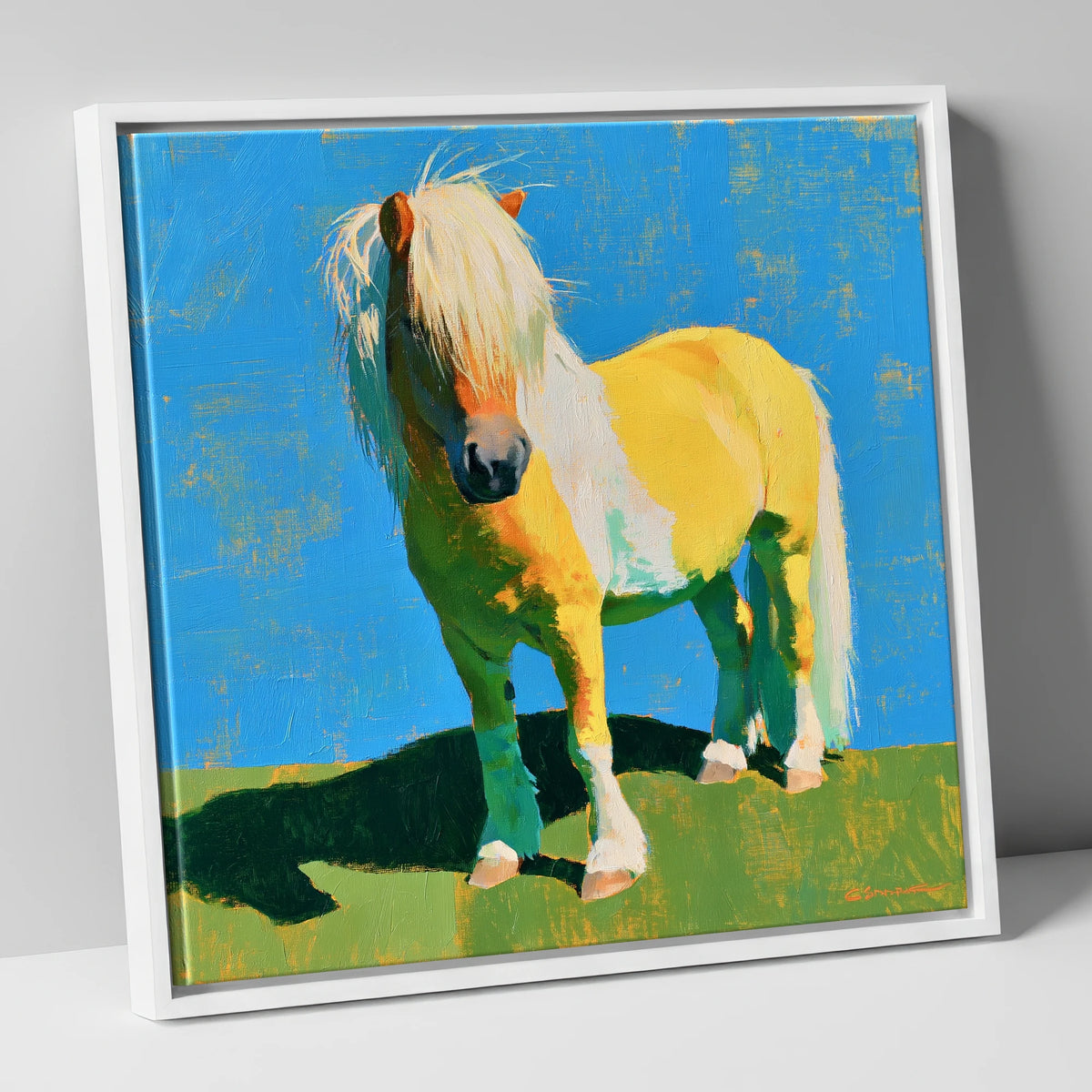 Sunlit Shetland Pony Portrait horse breed canvas wall art in white frame