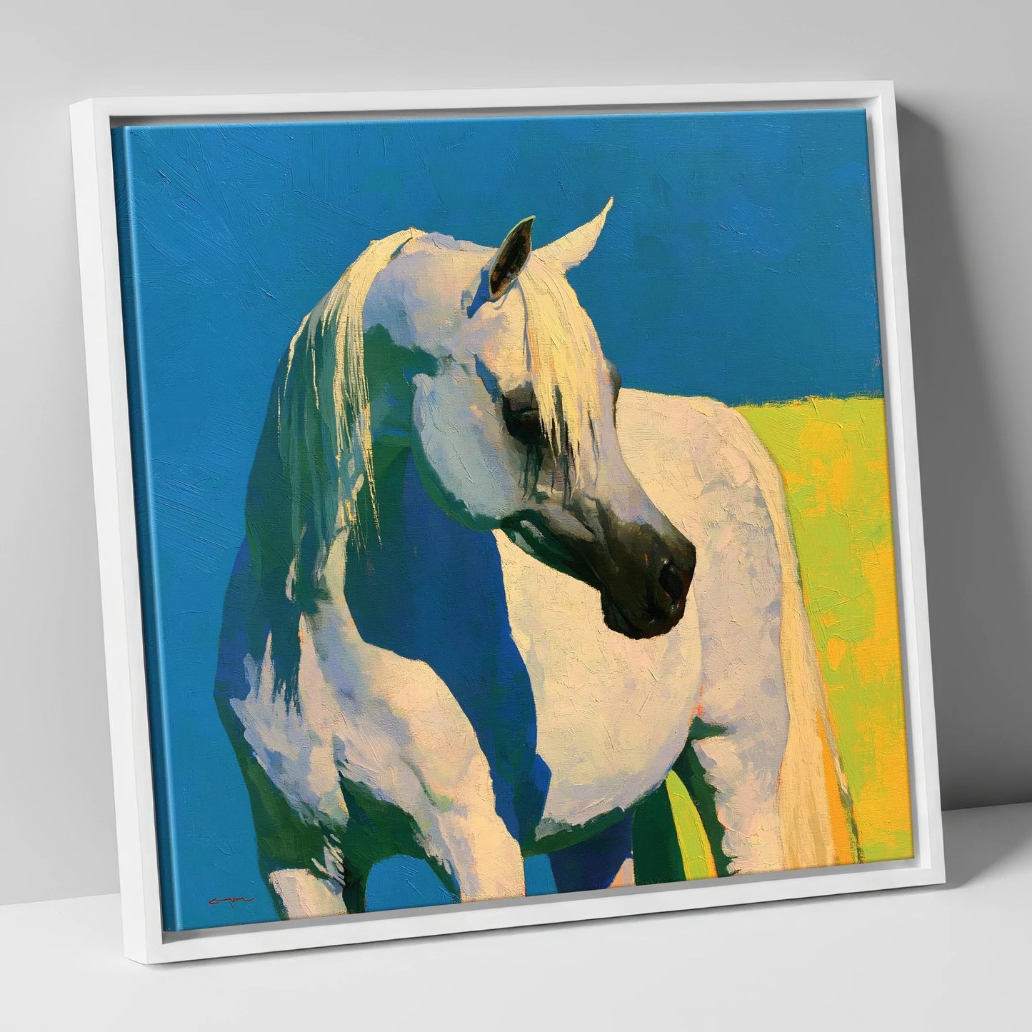 Sunlit Grey Arabian Horse horse breed canvas wall art in white frame