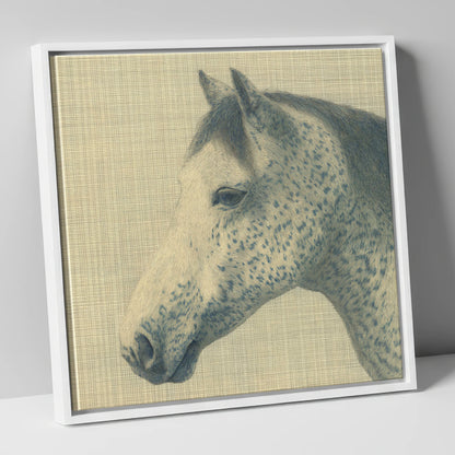 Meticulous Speckled Grey horse breed canvas wall art in white frame
