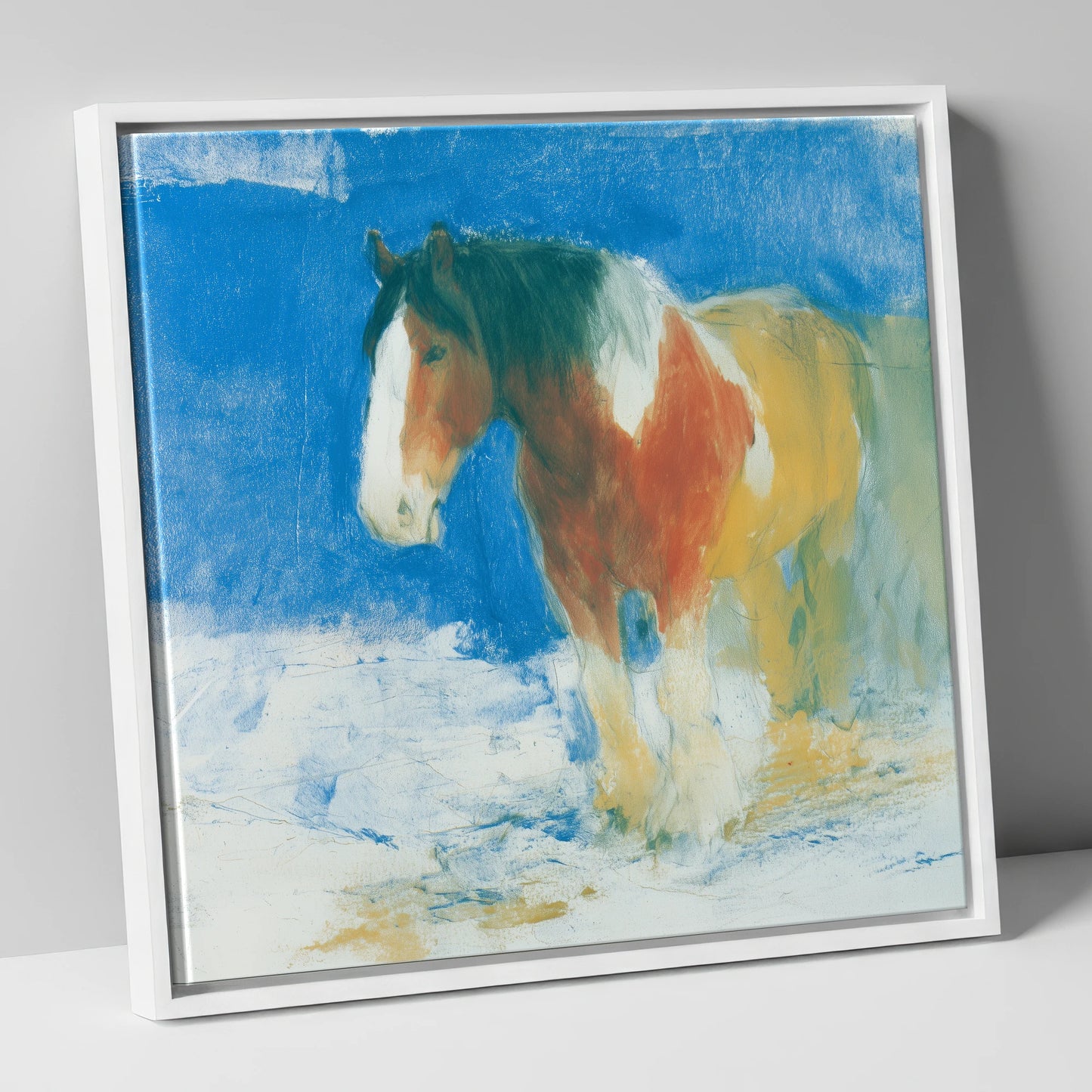 Cerulean Coloured Cob horse breed canvas wall art in white frame