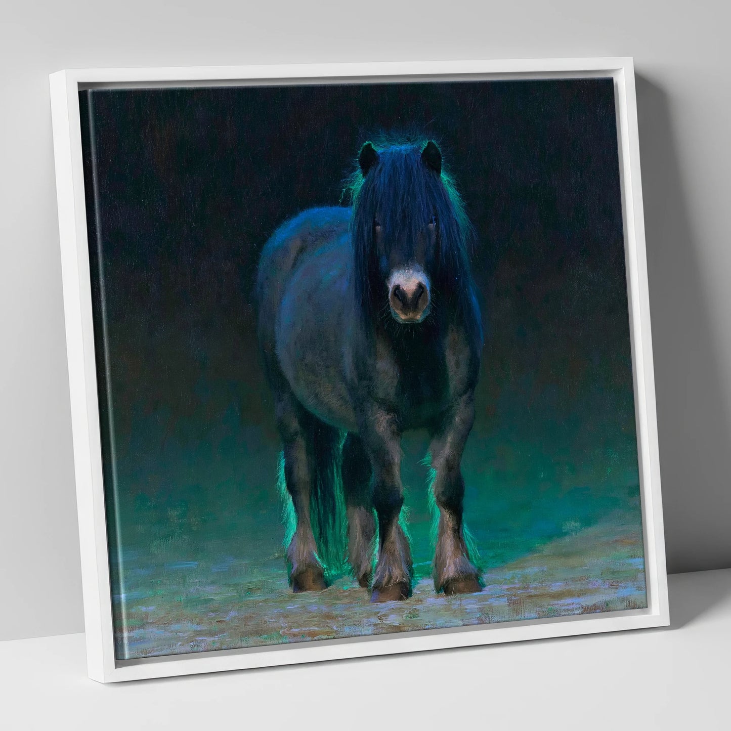 Black Shetland Pony in Moonlight horse breed canvas wall art in white frame