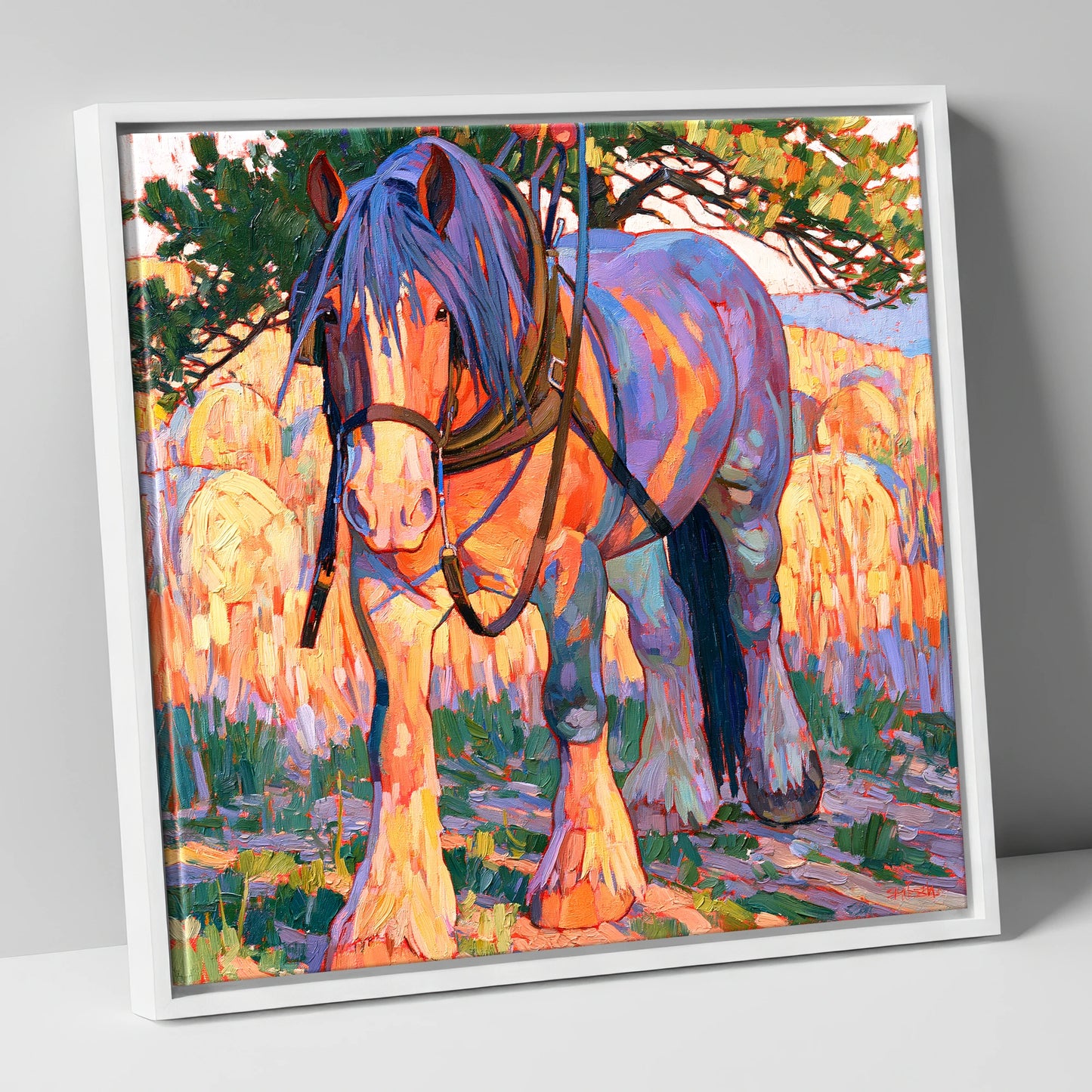 Colourful Heavy Horse In Harness horse breed canvas wall art in white frame