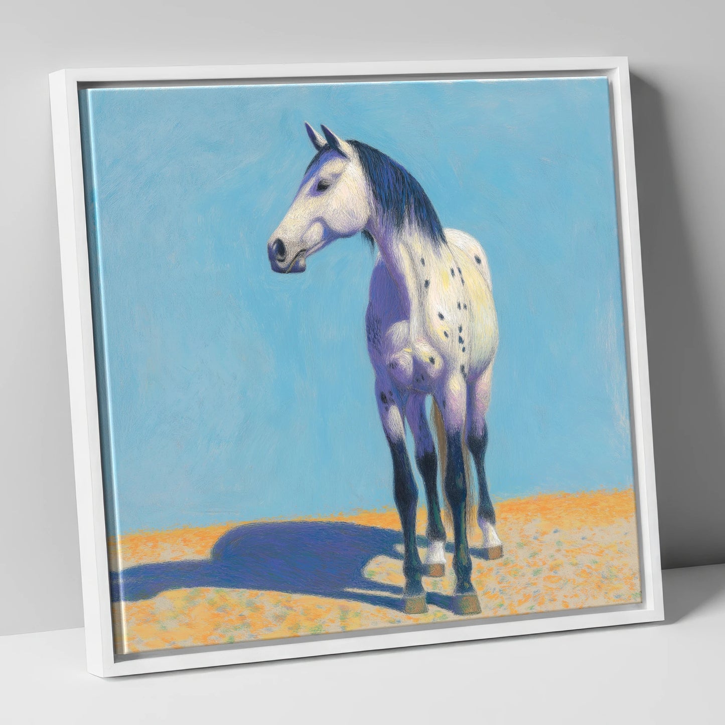 The Sunlit Appaloosa horse breed canvas wall art in white frame