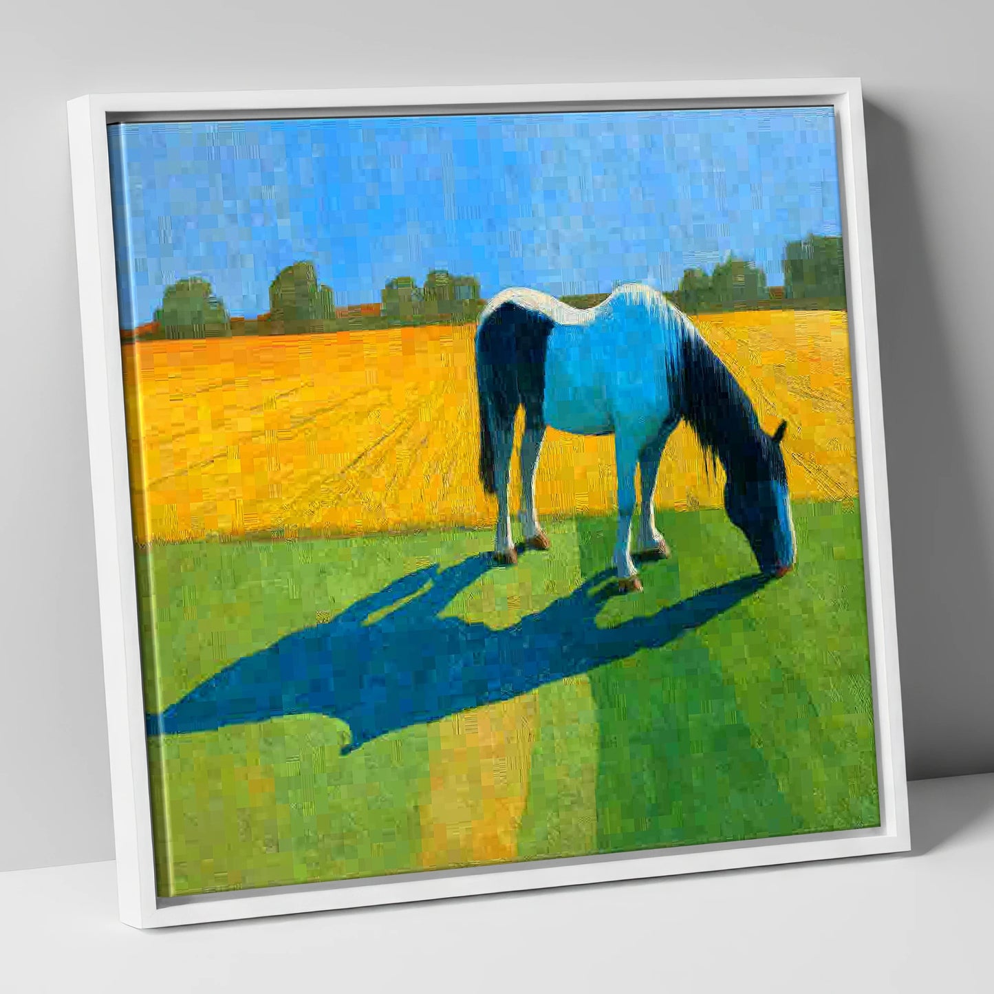 Sunlit Piebald Grazer working horse canvas wall art in white frame