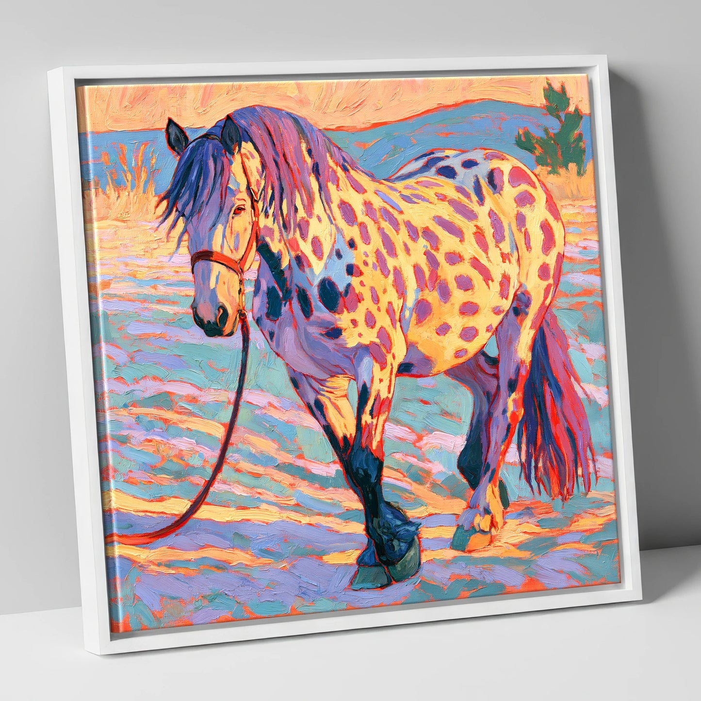 Colourful Appaloosa in Sunset Light horse breed canvas wall art in white frame