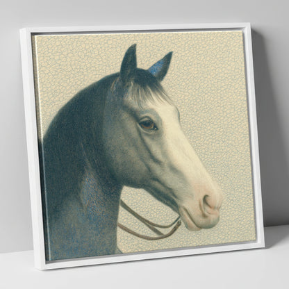 Noble Grey Portrait horse portrait canvas wall art in white frame