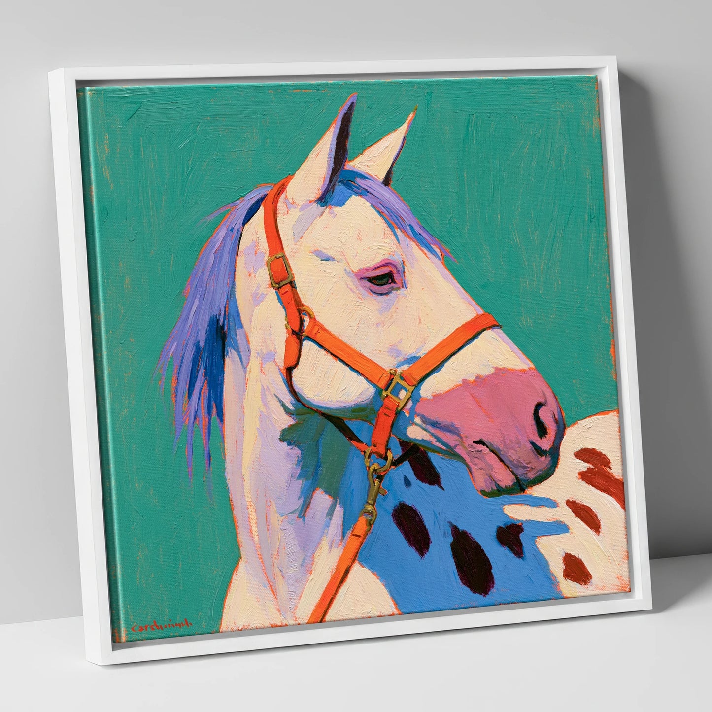 Colourful Appaloosa on Teal Background horse breed canvas wall art in white frame