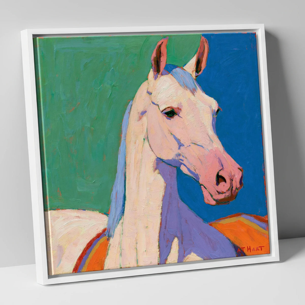 Vibrant Grey Arabian Horse horse breed canvas wall art in white frame