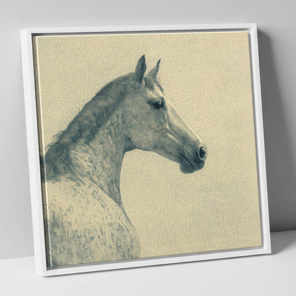 The Dappled Profile horse breed canvas wall art in white frame