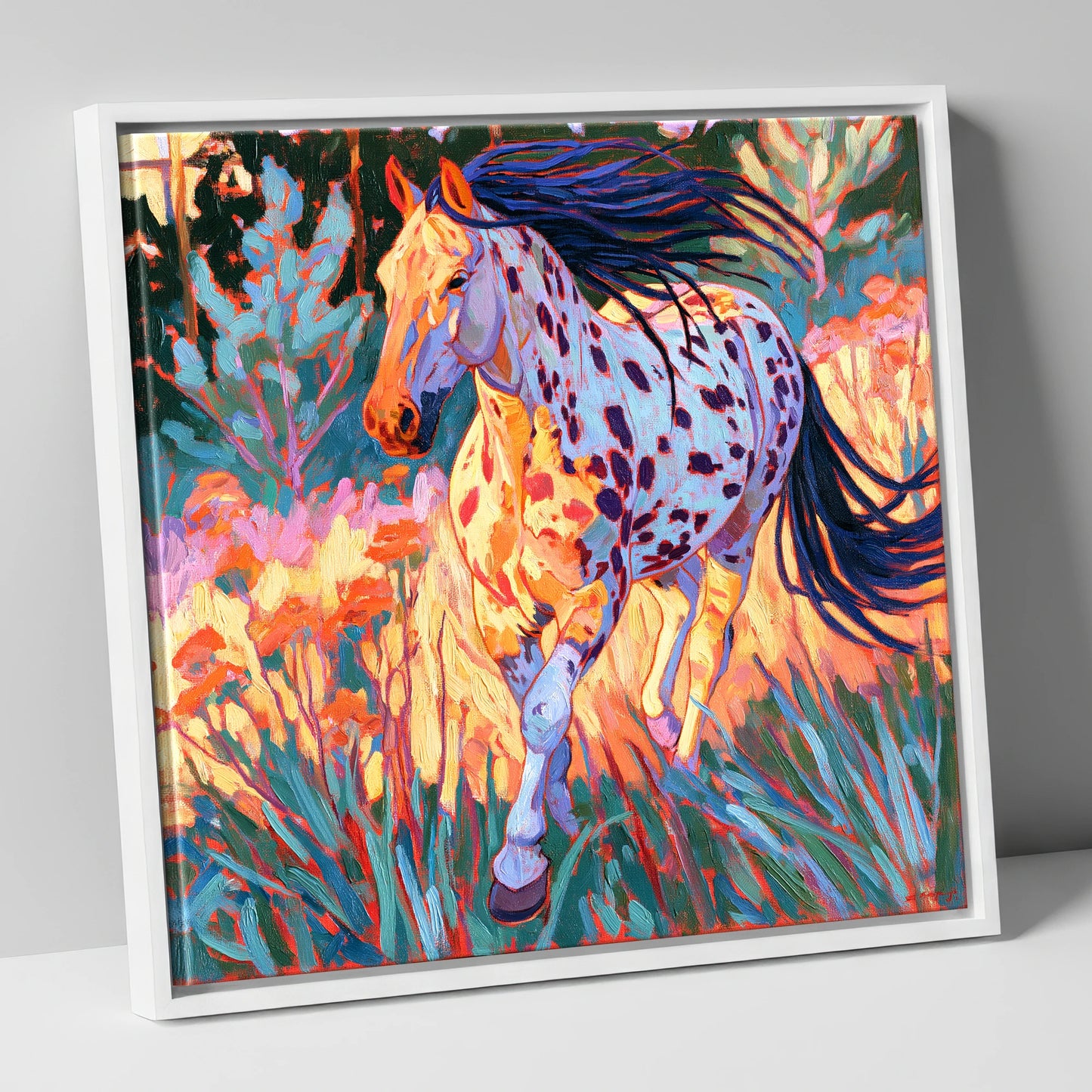 Colourful Appaloosa at Canter horse breed canvas wall art in white frame