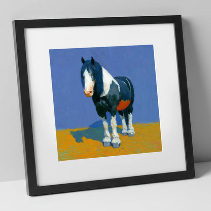 Sun-Drenched Coloured Cob horse breed art print in black frame