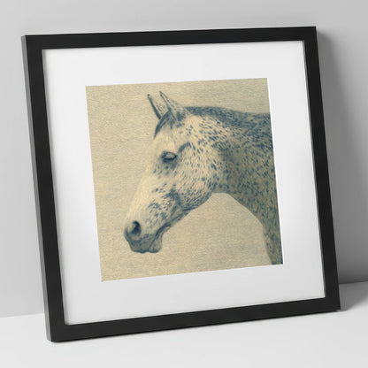 Meticulous Equine Profile horse breed art print in black frame