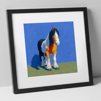 Sunlit Coloured Cob horse breed art print in black frame