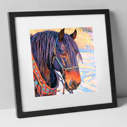 Vibrant Heavy Horse In Winter Light horse breed art print in black frame