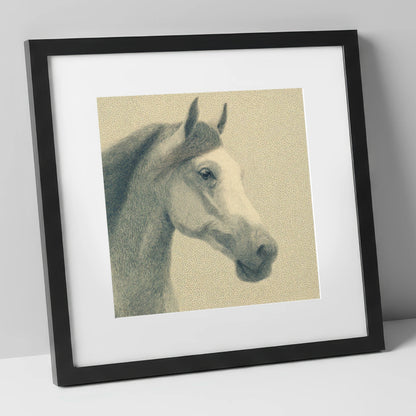 Noble Engraved Profile horse breed art print in black frame