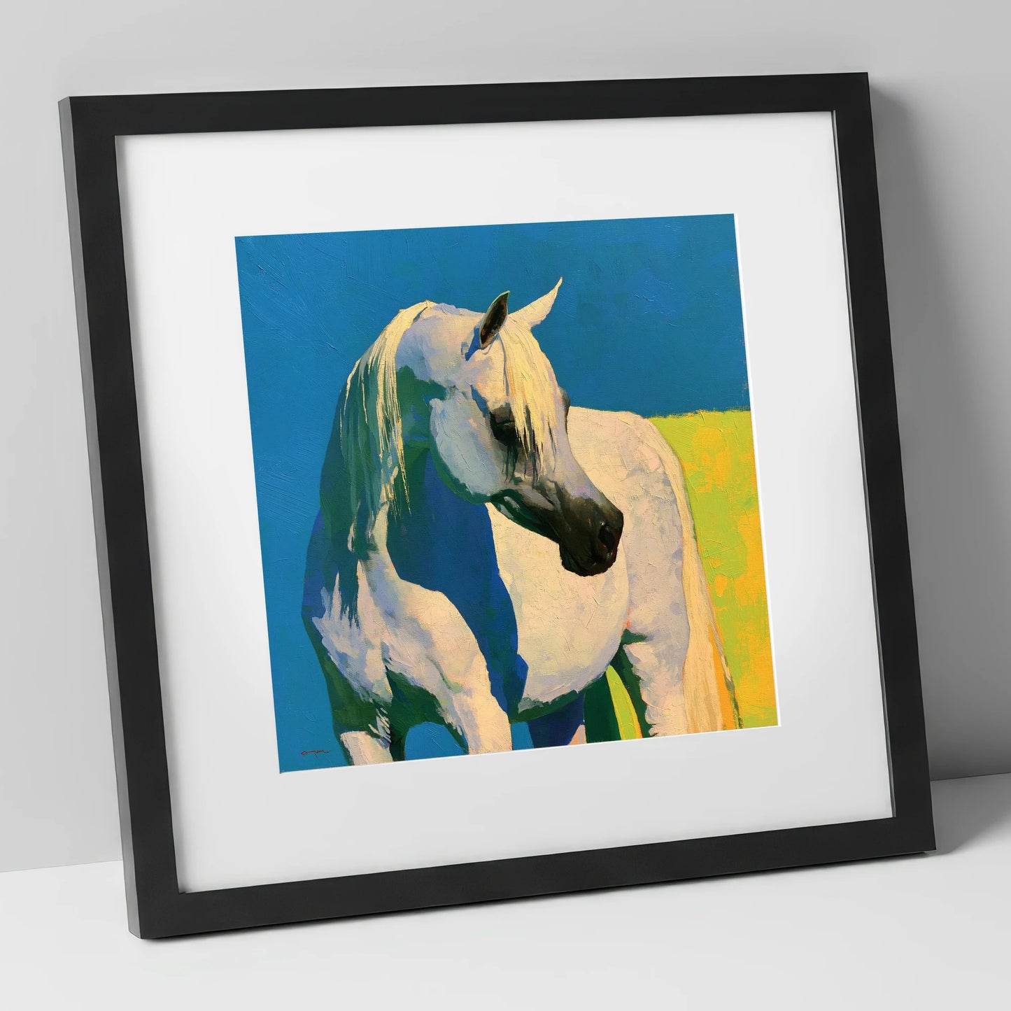 Sunlit Grey Arabian Horse horse breed art print in black frame