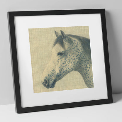 Meticulous Speckled Grey horse breed art print in black frame