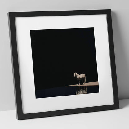 The Luminous Grey horse portrait art print in black frame