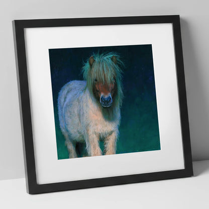 Shetland Pony in Moonlight horse breed art print in black frame