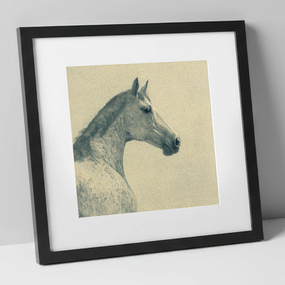 The Dappled Profile horse breed art print in black frame