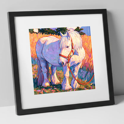 Feathered Cob in Vibrant Light horse breed art print in black frame