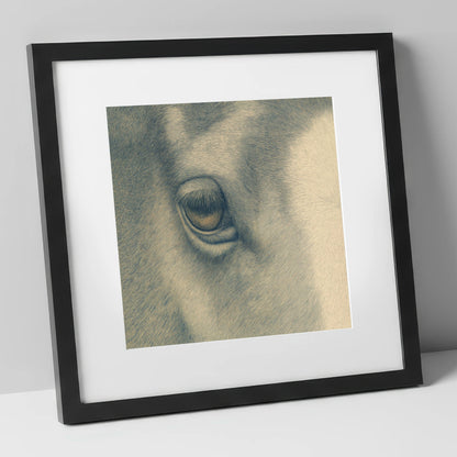 The Gentle Eye horse portrait art print in black frame