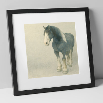 The Slate Blue Shire horse breed art print in black frame