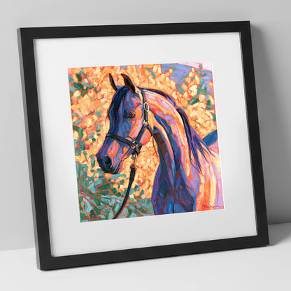 Arabian Horse in Vibrant Colours horse breed art print in black frame