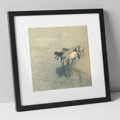 Reflections of the Herd wild horses art print in black frame