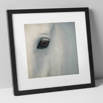 Quiet Gaze of the Grey horse portrait art print in black frame