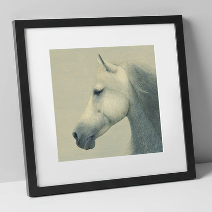 Timeless Grey Profile horse breed art print in black frame