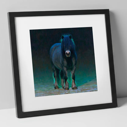 Black Shetland Pony in Moonlight horse breed art print in black frame