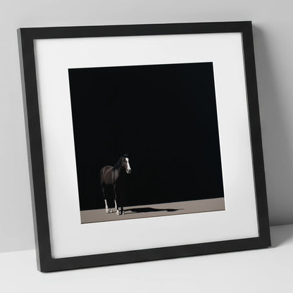 Solitary in Shadow horse portrait art print in black frame