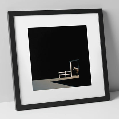 Morning Shadows horse stable art print in black frame