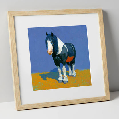 Sun-Drenched Coloured Cob horse breed art print in natural frame