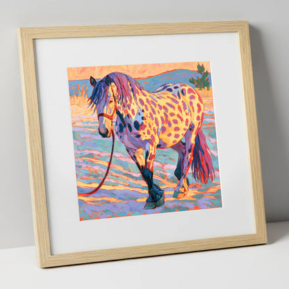 Colourful Appaloosa in Sunset Light horse breed art print in natural frame