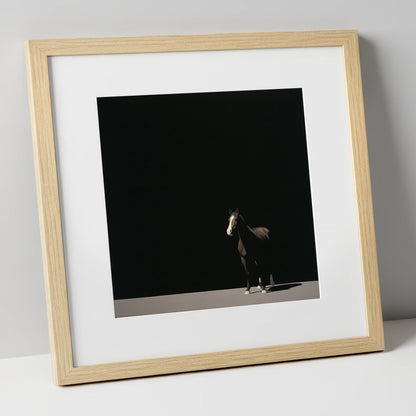 Midnight Solitude horse portrait art print in natural frame