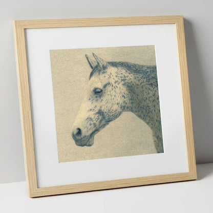 Meticulous Equine Profile horse breed art print in natural frame