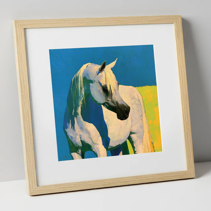 Sunlit Grey Arabian Horse horse breed art print in natural frame