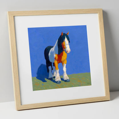 Sunlit Coloured Cob horse breed art print in natural frame