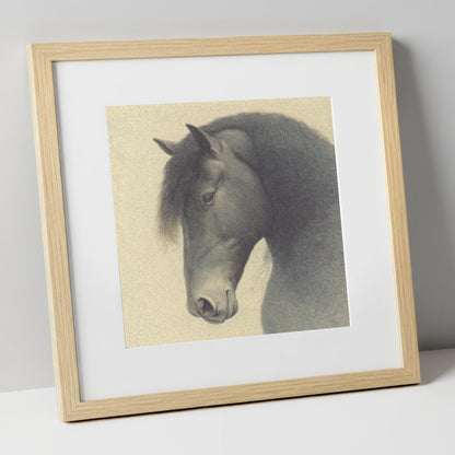 Quiet Nobility horse breed art print in natural frame