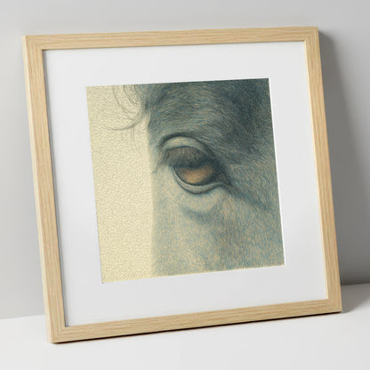 The Quiet Gaze horse portrait art print in natural frame