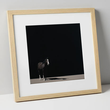 Solitary in Shadow horse portrait art print in natural frame