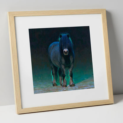 Black Shetland Pony in Moonlight horse breed art print in natural frame