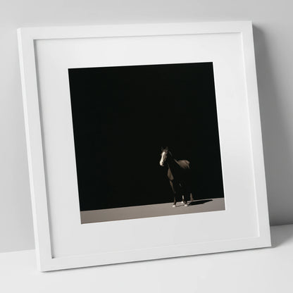 Midnight Solitude horse portrait art print in white frame