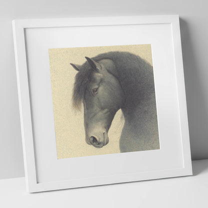 Quiet Nobility horse breed art print in white frame