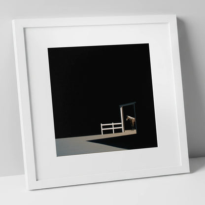 Morning Shadows horse stable art print in white frame