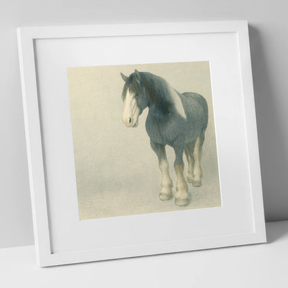 The Slate Blue Shire horse breed art print in white frame