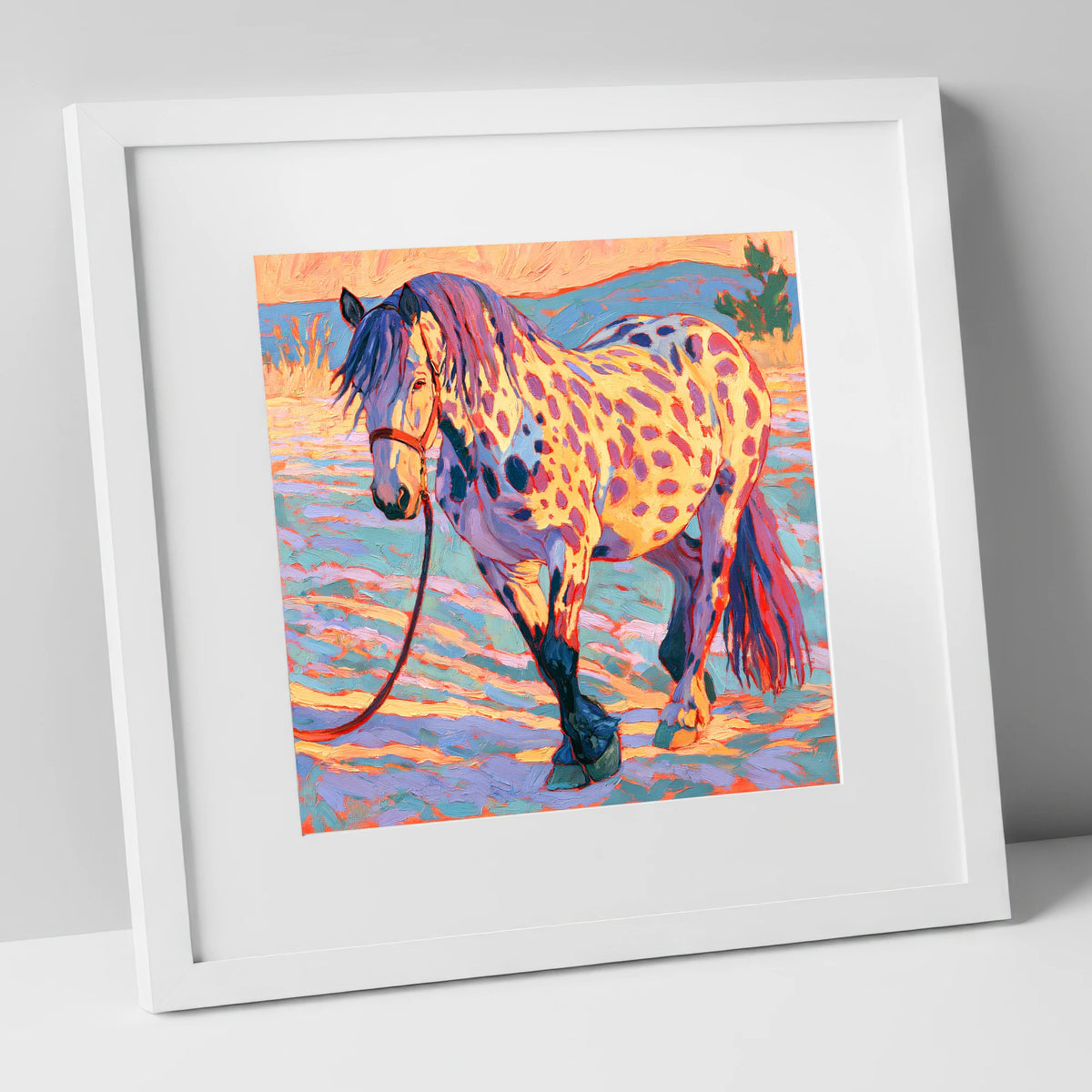 Colourful Appaloosa in Sunset Light horse breed art print in white frame